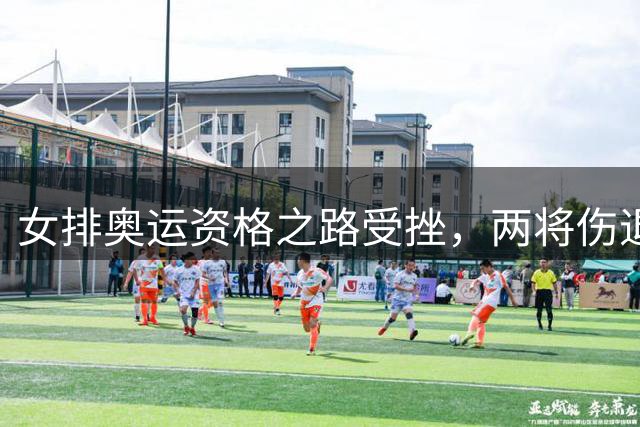 女排奥运资格之路受挫，两将伤退引深思